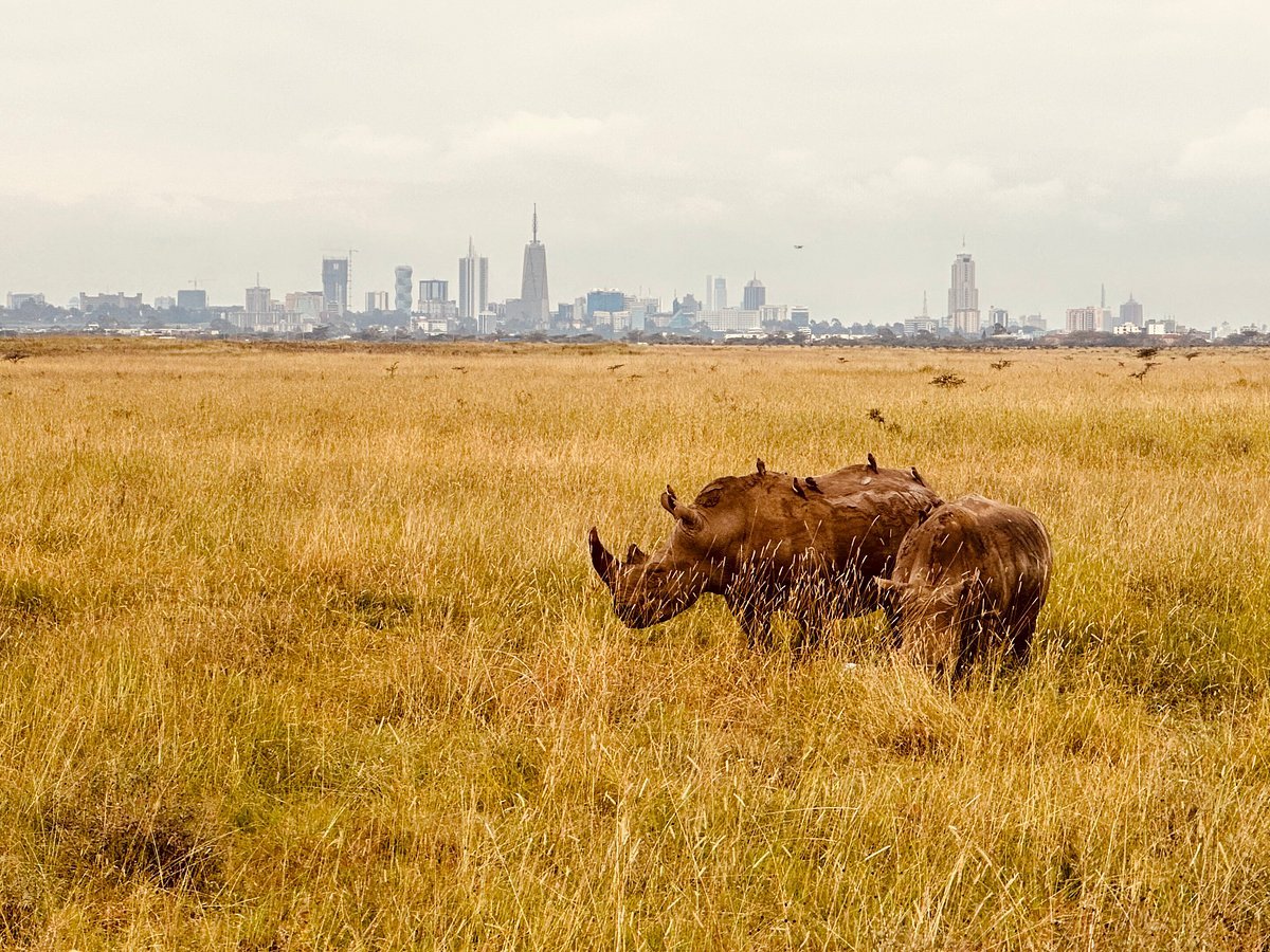 Nairobi National Park