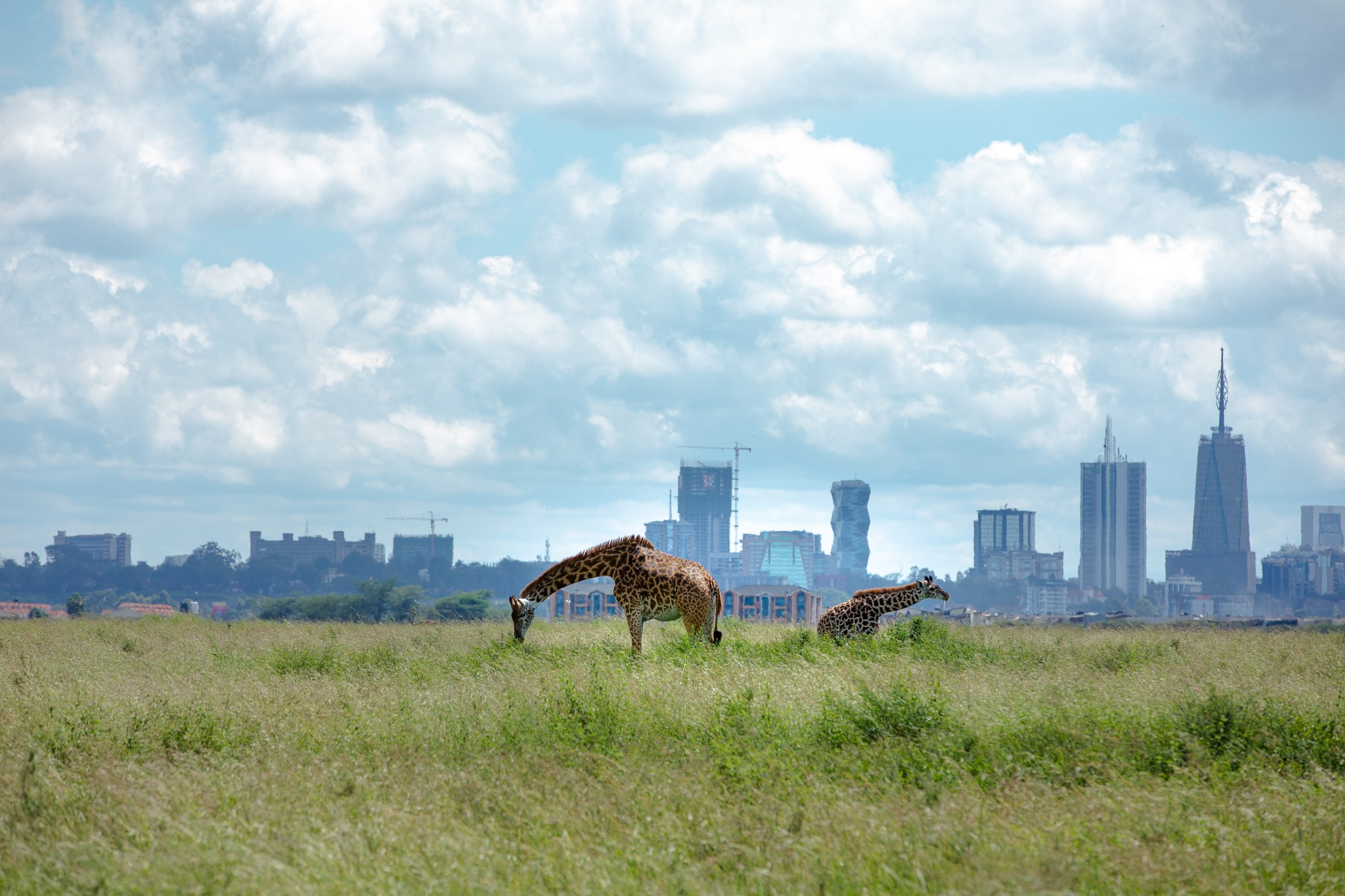 Nairobi National Park