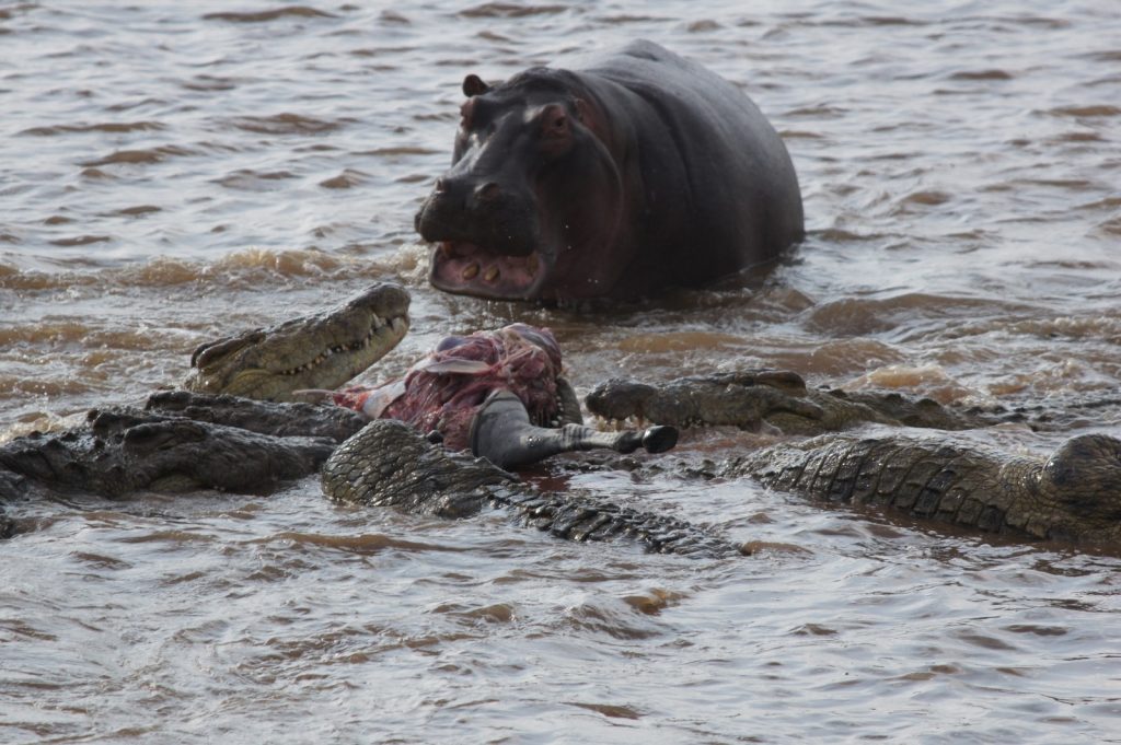 Amboseli day trip