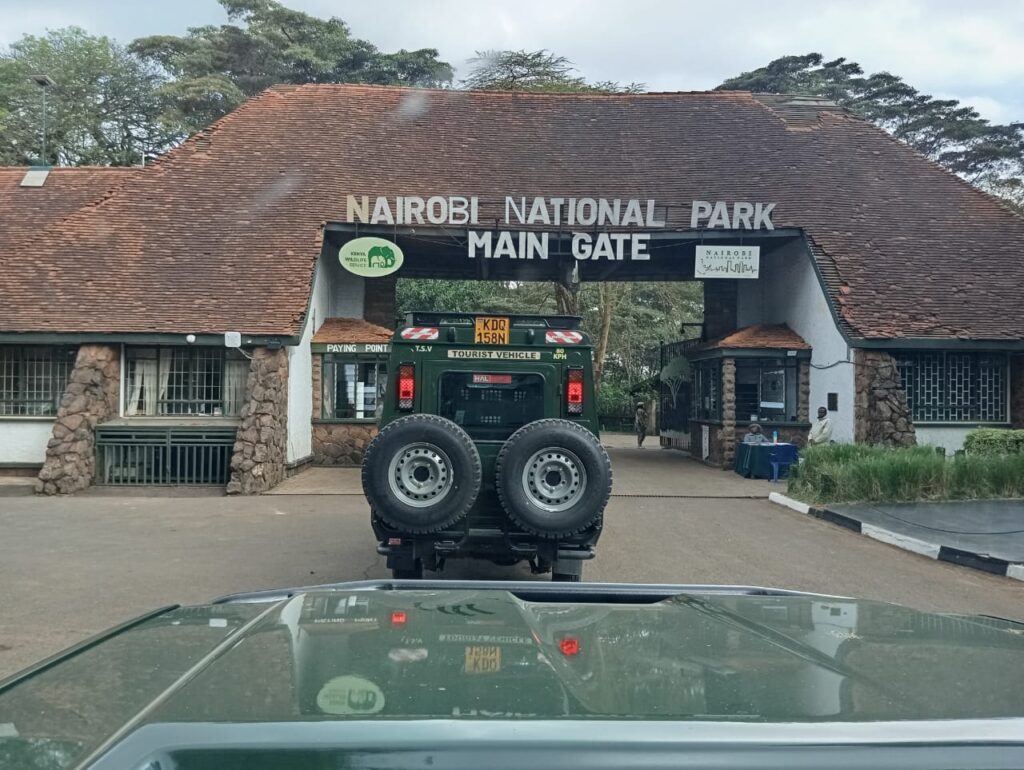 Nairobi National Park and City Tour