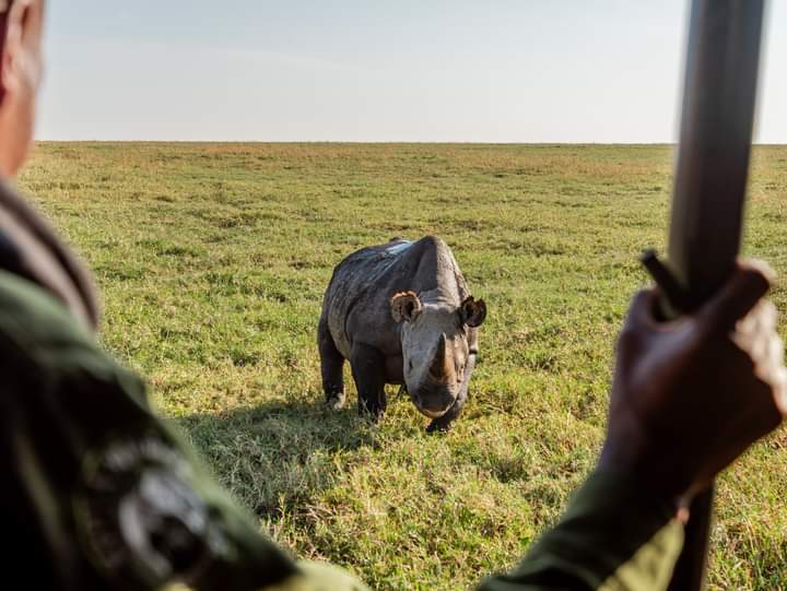 Ol Pejeta Wildlife Sanctuary