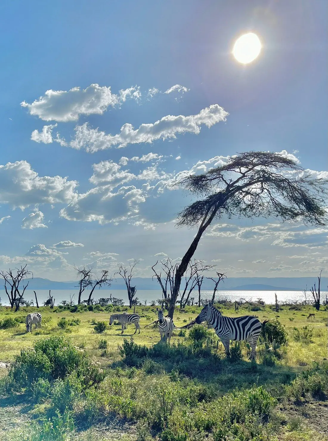 Lake Naivasha