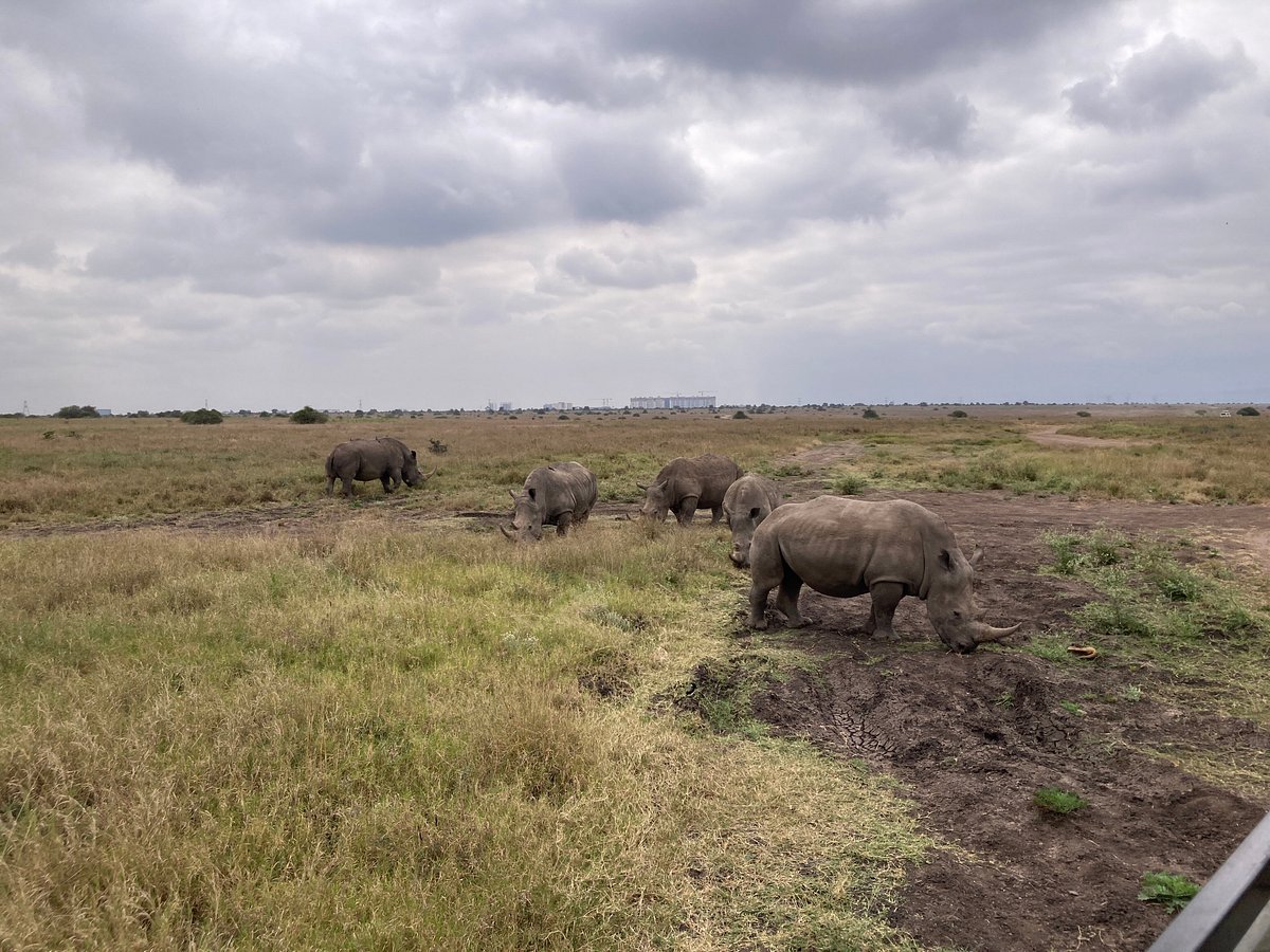 Lake Nakuru National Park