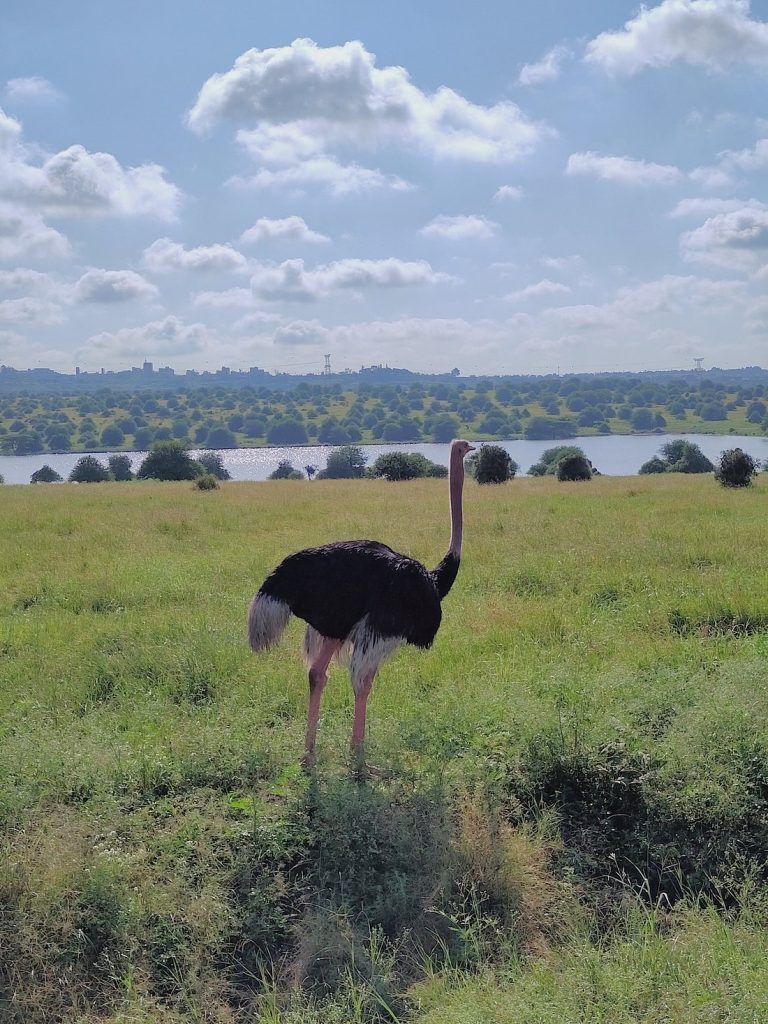 Photography Safari in Kenya