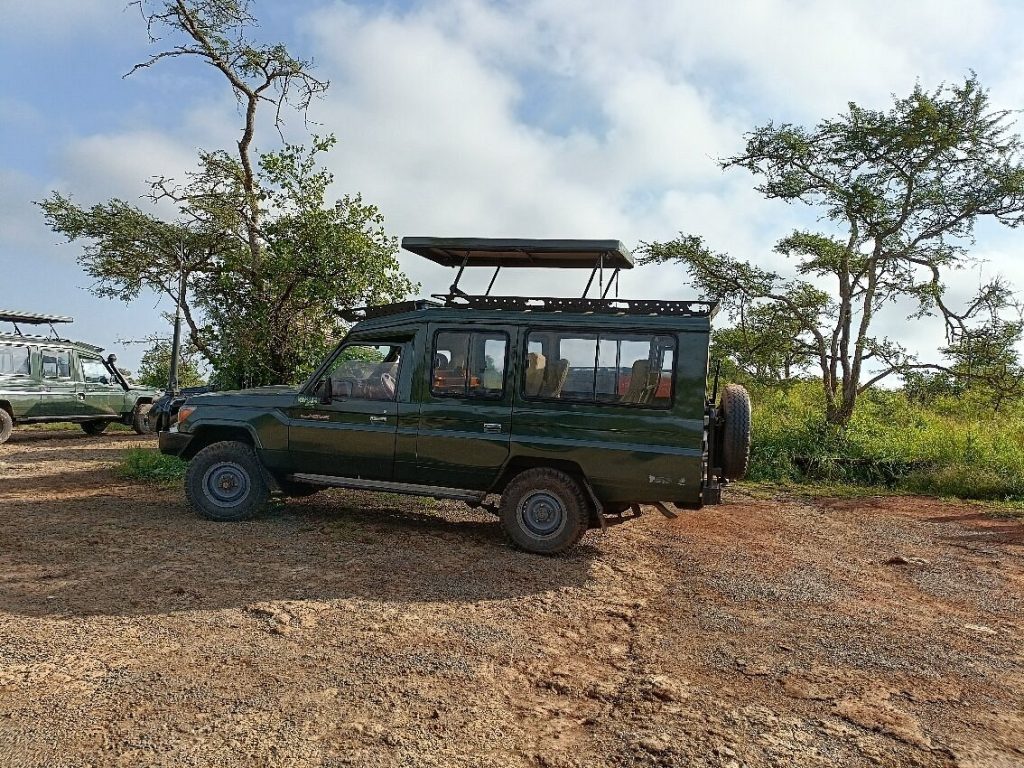 Kenya safari