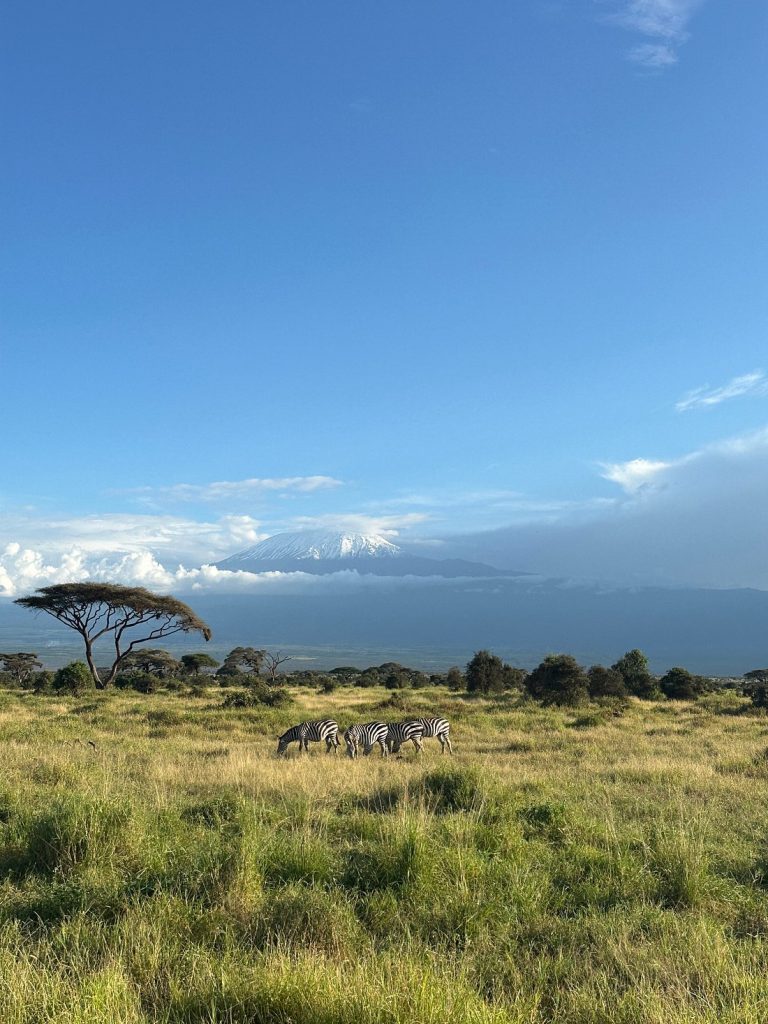 Amboseli National Park