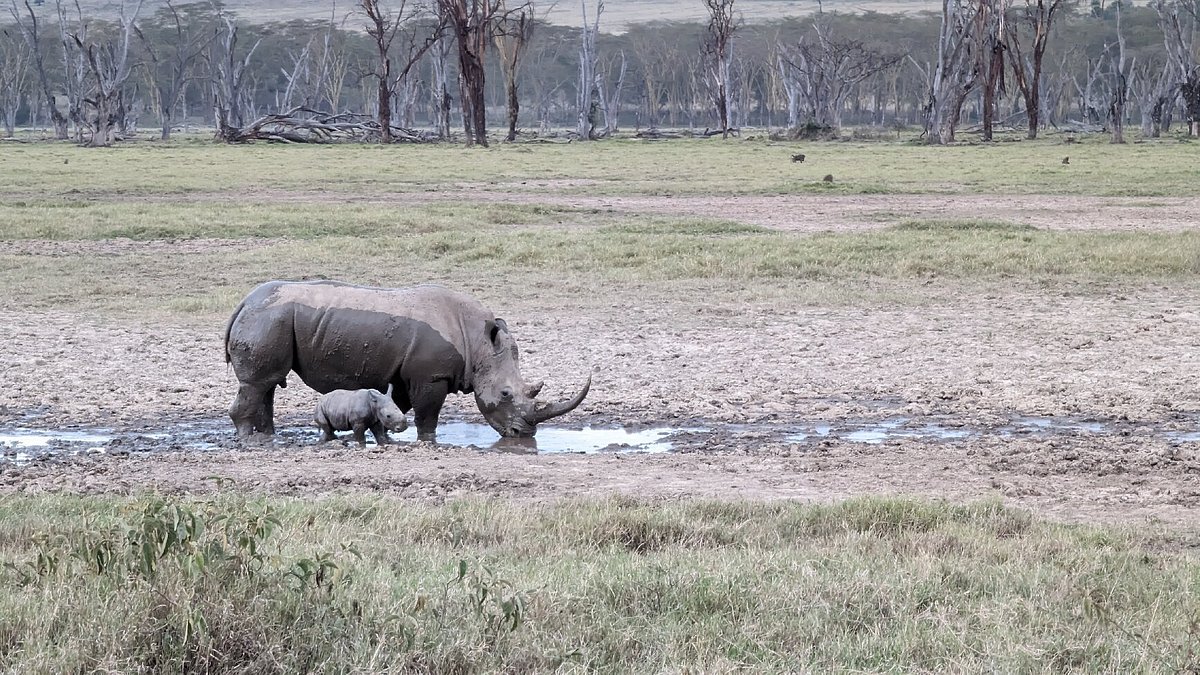 Lake Nakuru National Park