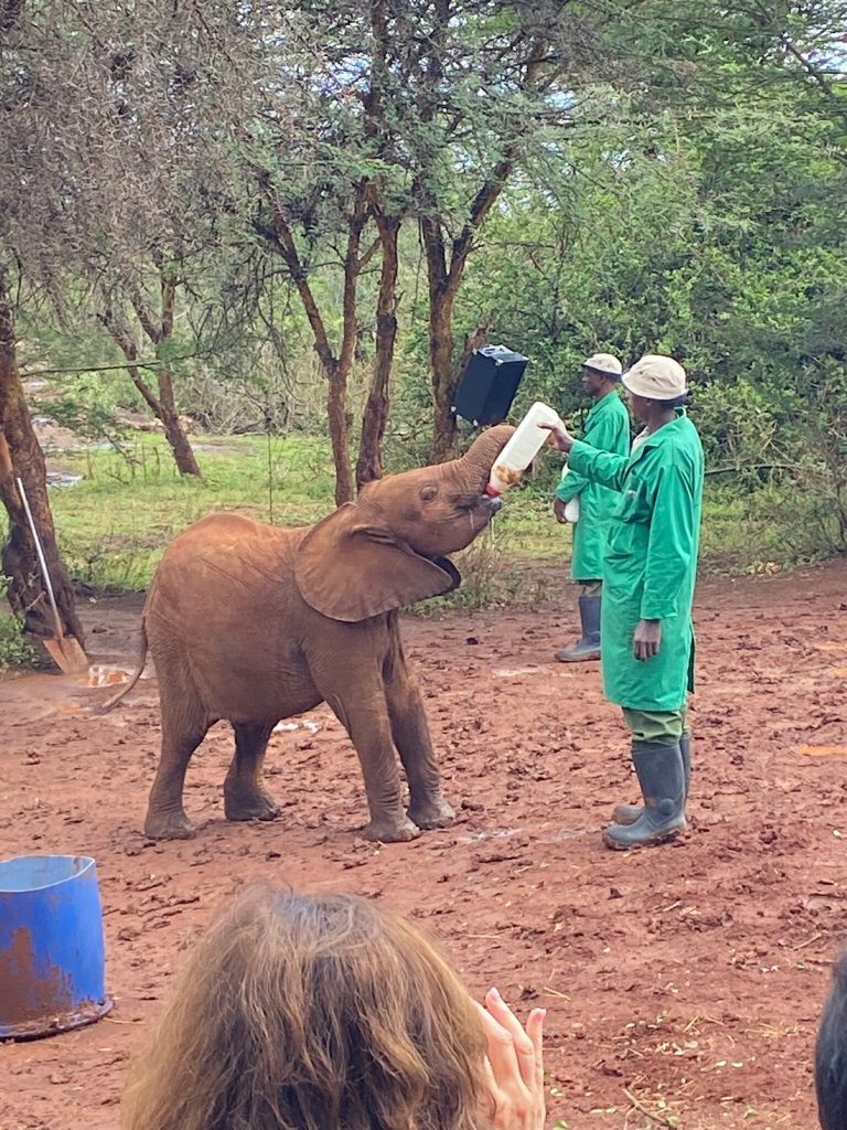 Nairobi National Park