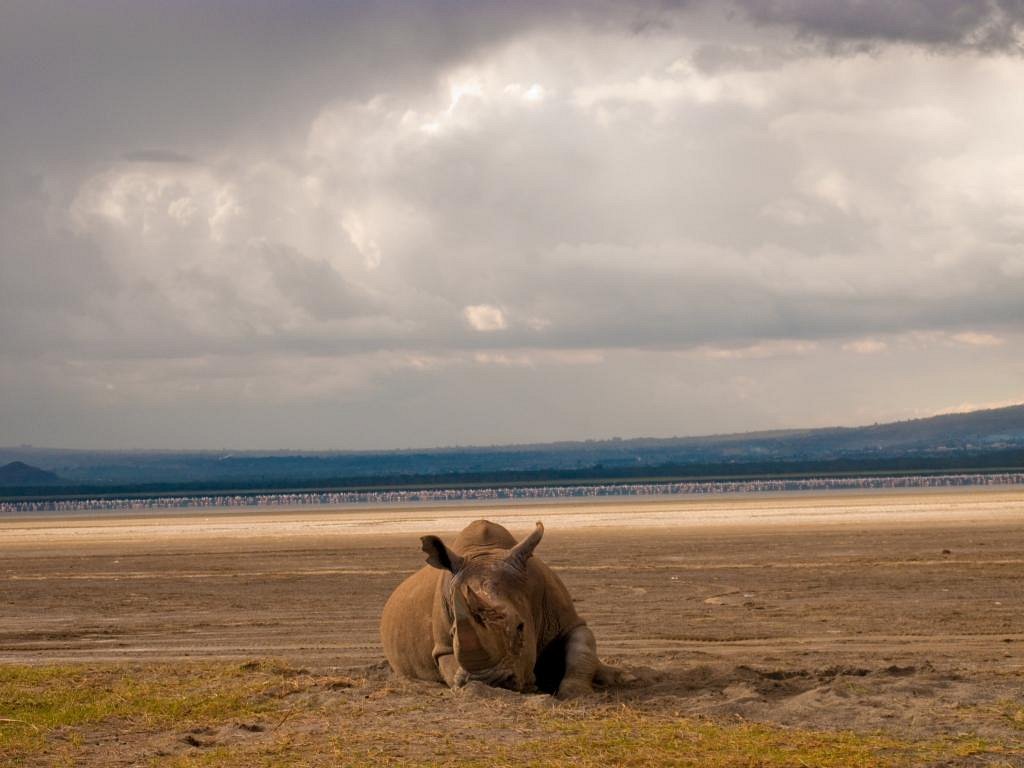 Kenya National Parks