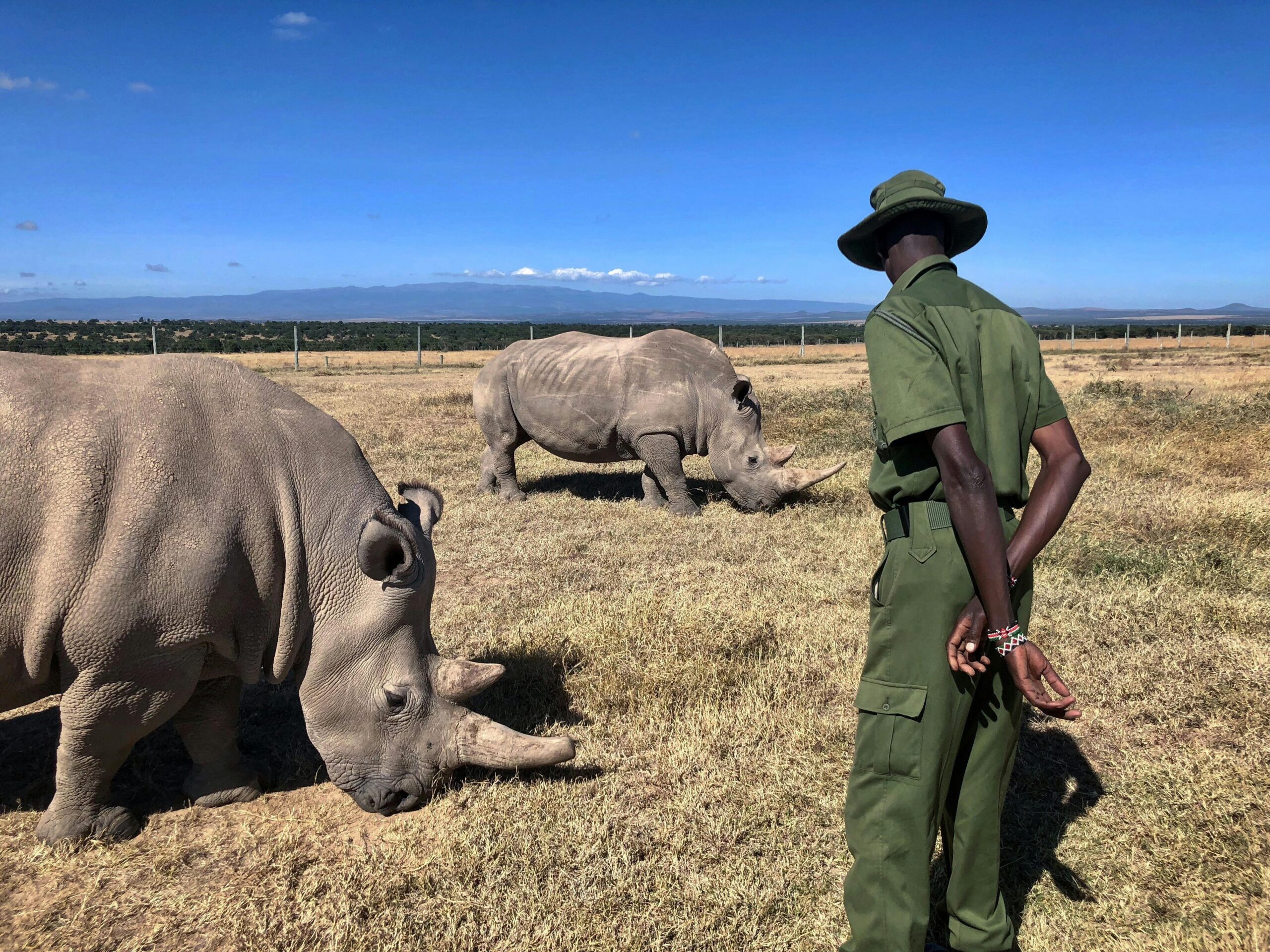 Ol Pejeta Wildlife Sanctuary