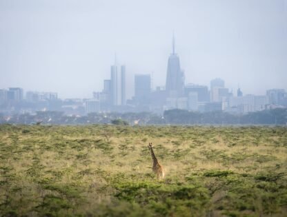 Nairobi day trips
