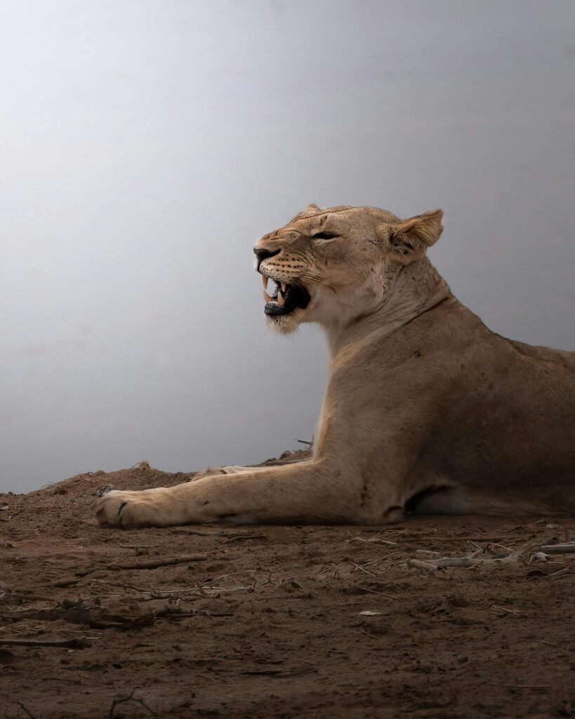 Tsavo East National Park