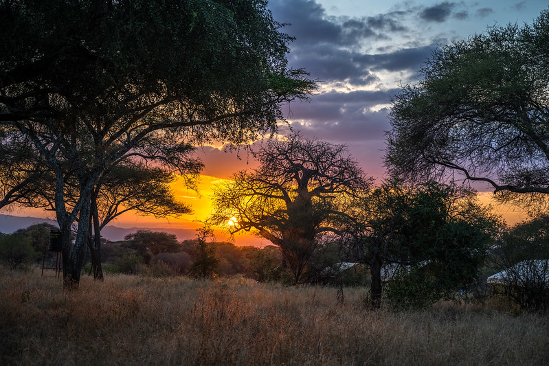 Tanzania National Parks