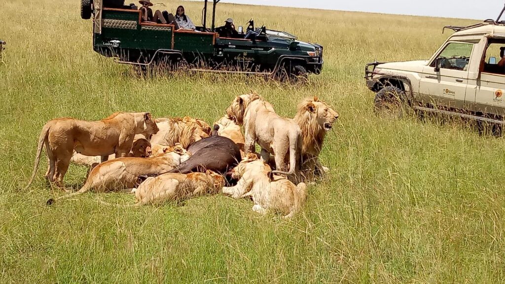 Lake Nakuru National Park