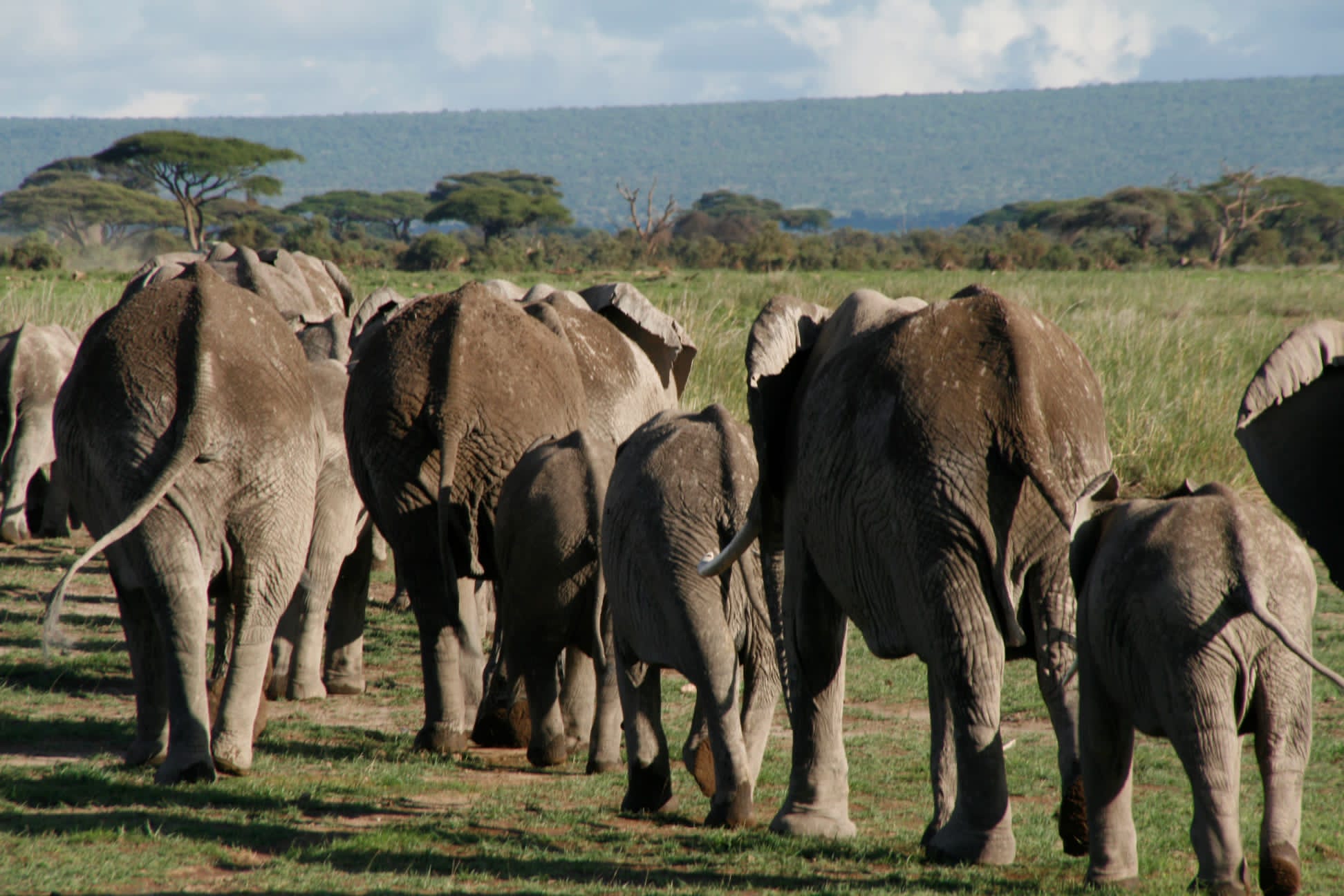 2-4 Day Safari Tours