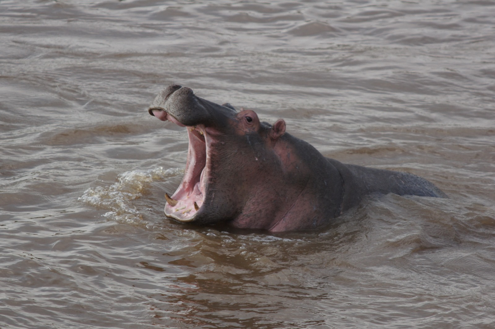 Nairobi Day Trips