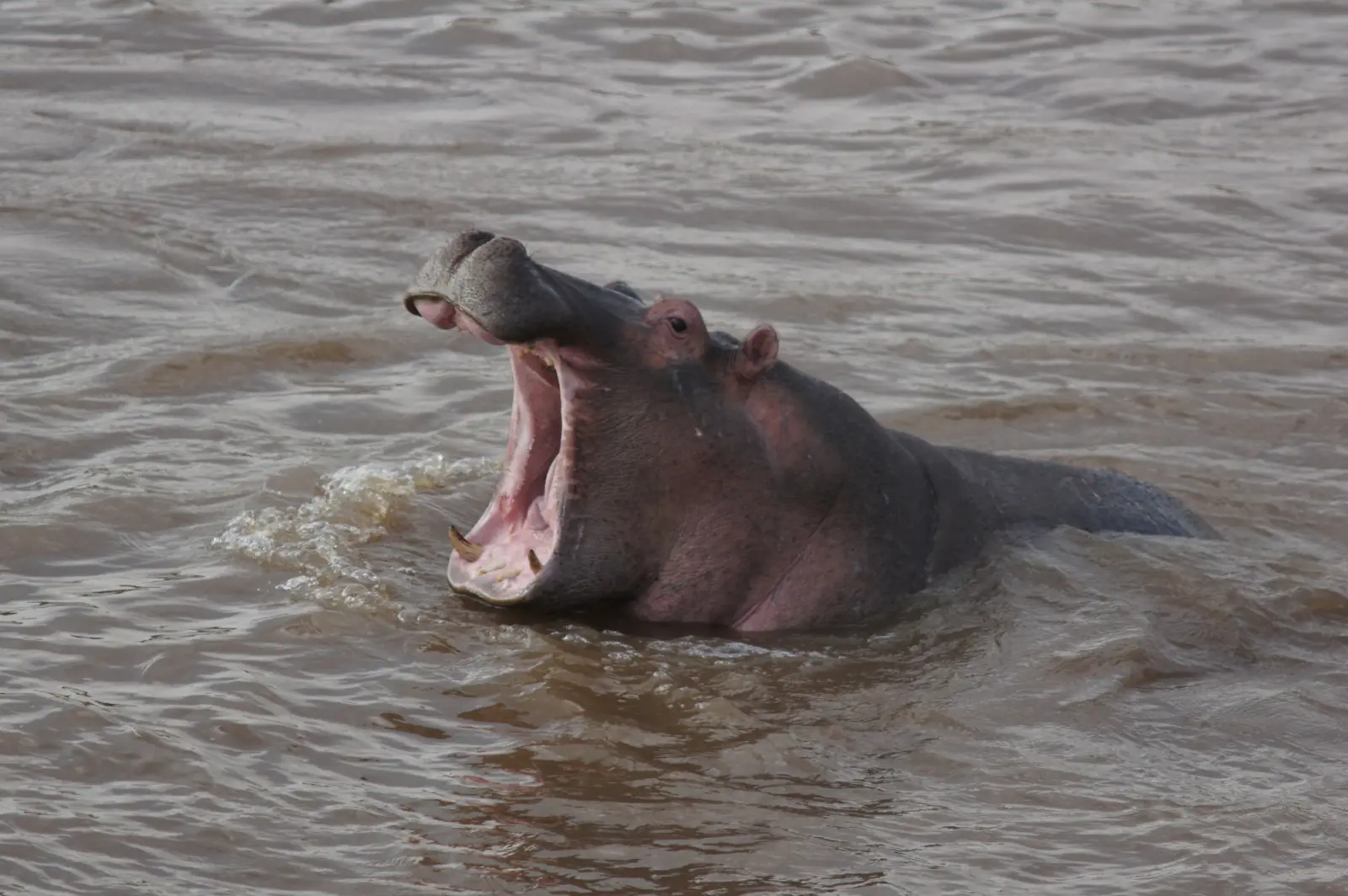 Nairobi Day Trips
