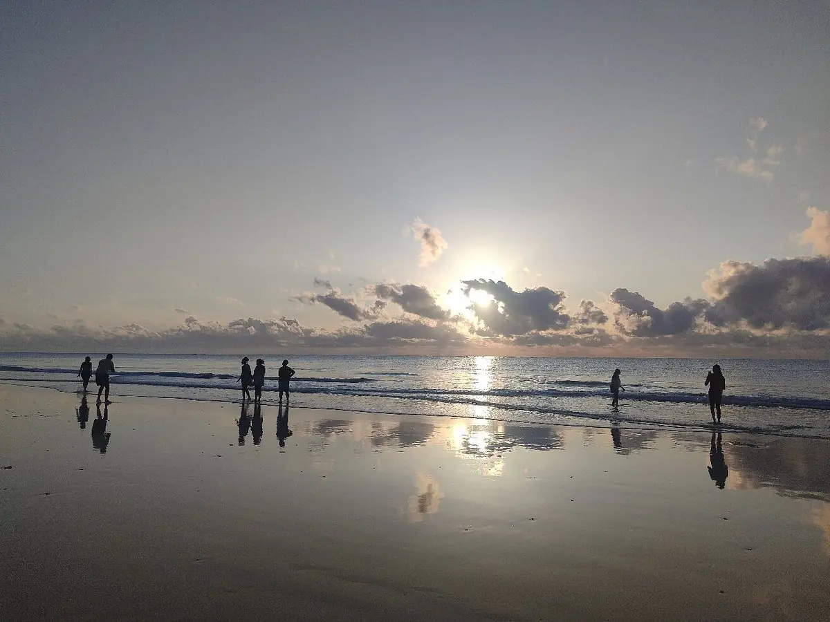 DIANI BEACH SAFARIS