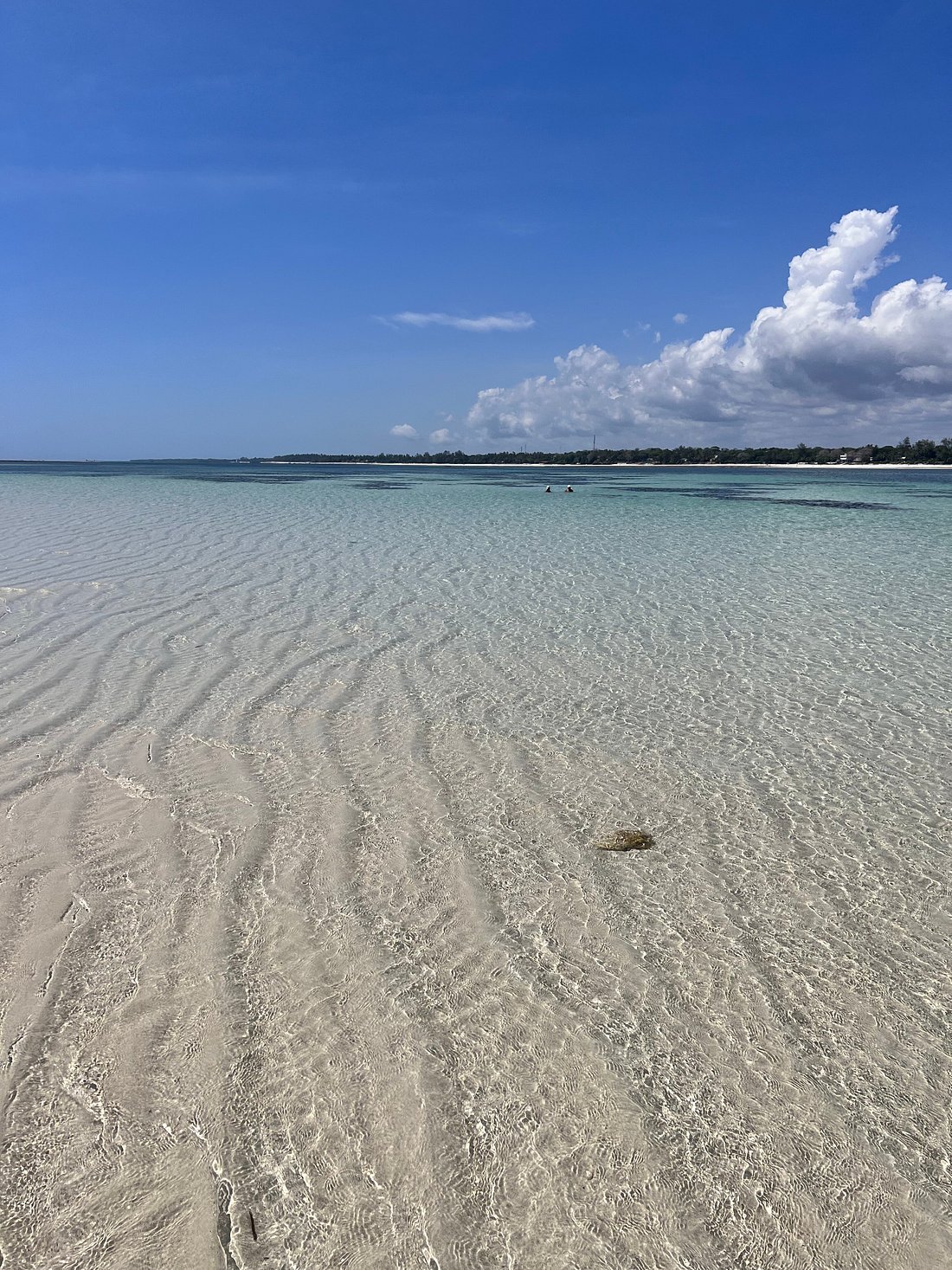 DIANI BEACH SAFARIS