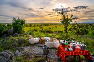 Annest Kenya safaris