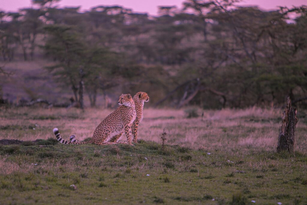 Lake Nakuru