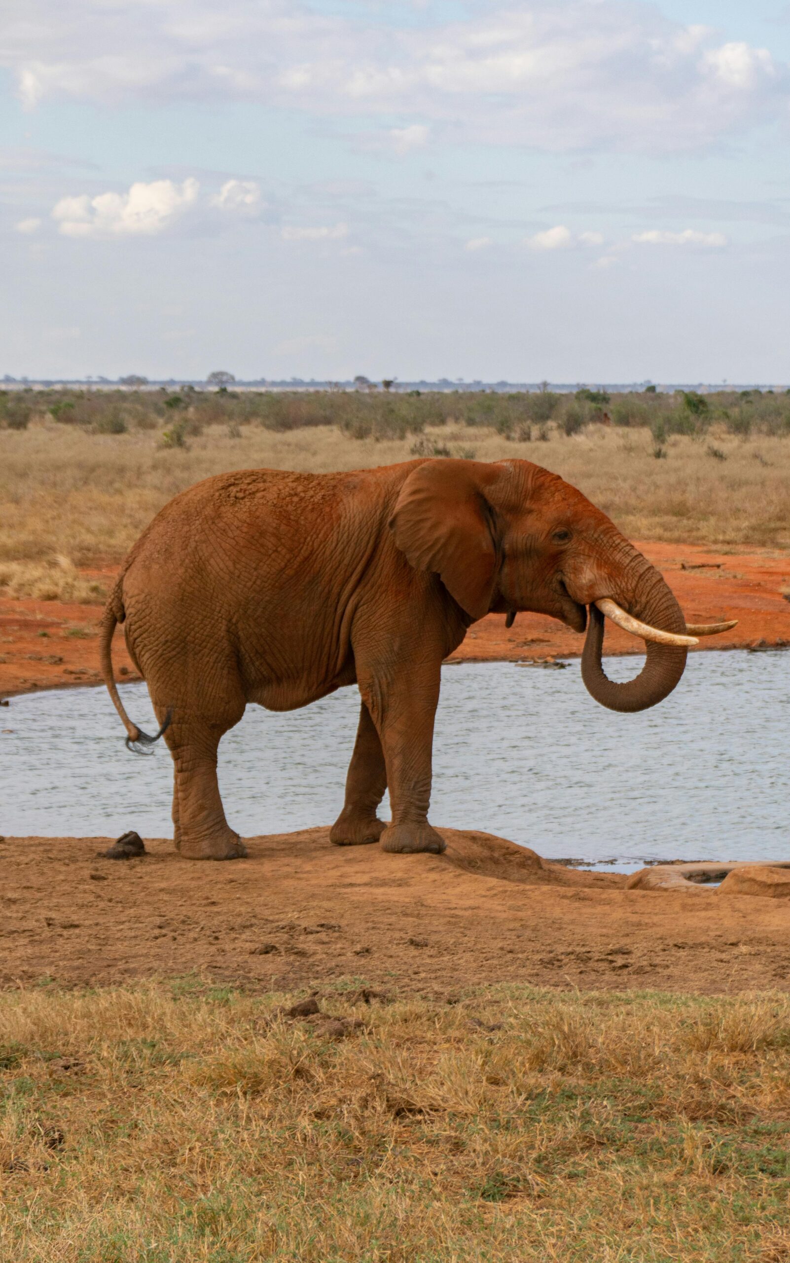 Tsavo east and tsavo west