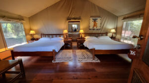 Masai mara lodges and tented camps