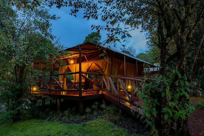 Mara Ngenche Safari Camp