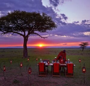 Tanzania safari lodges