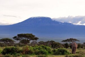 3-day amboseli park giants safari