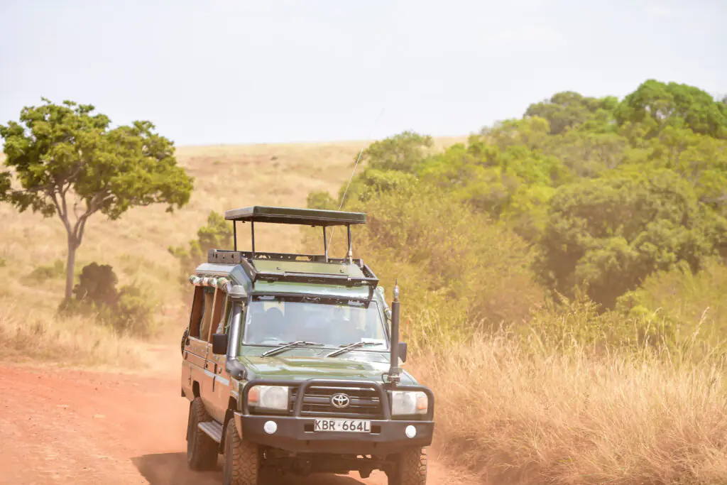Annest Kenya safaris