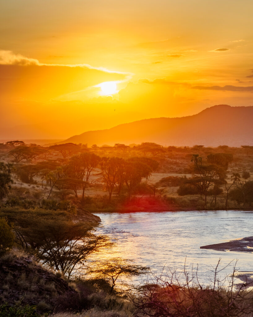 safari from Nairobi