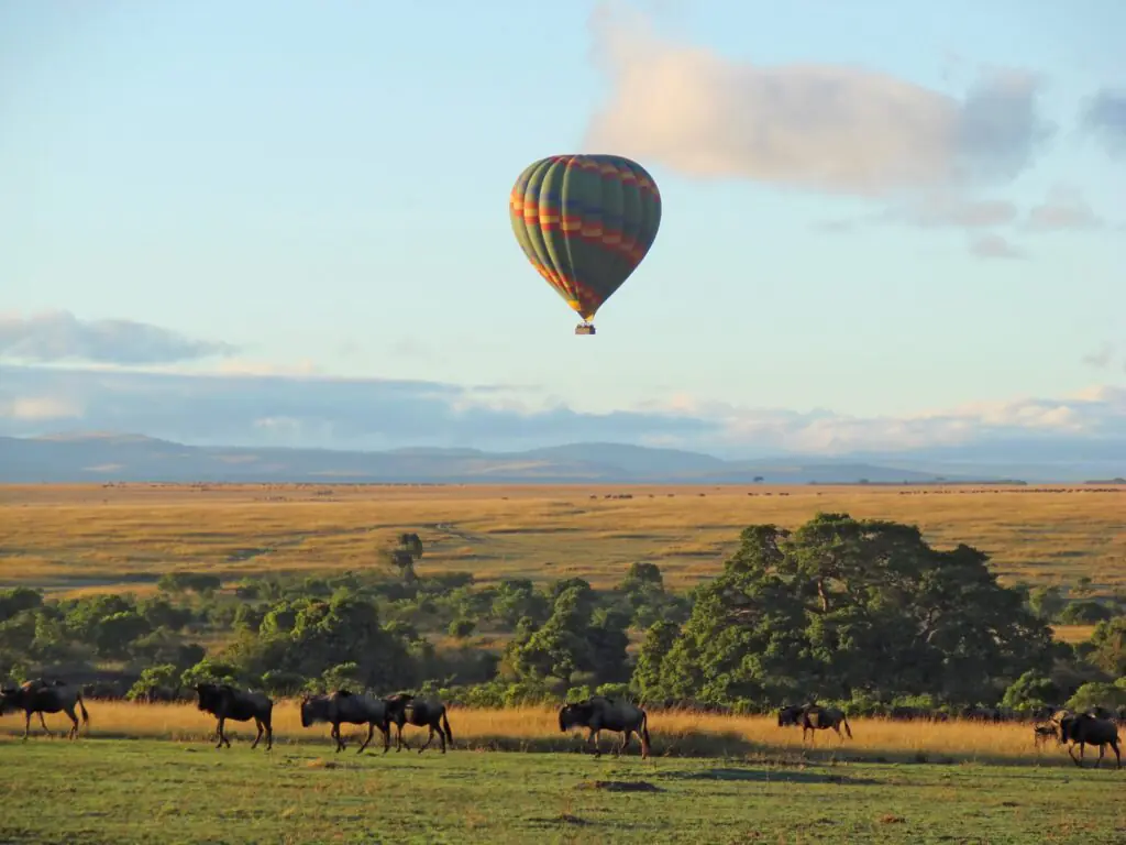 Hot air balloon safari with Annest Kenya safaris