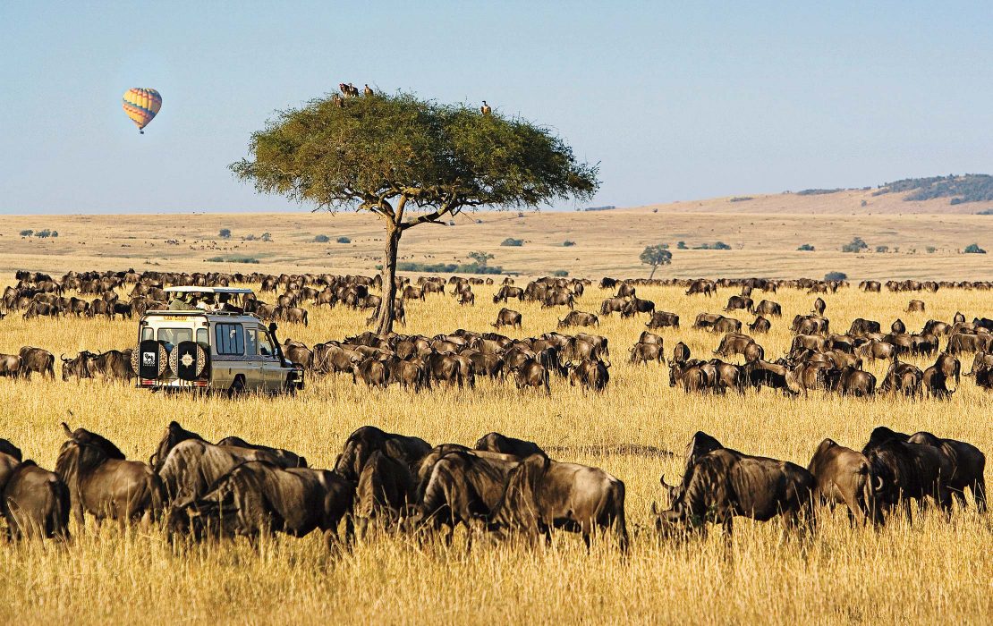 5 days Masai Mara Game Reserve & Amboseli