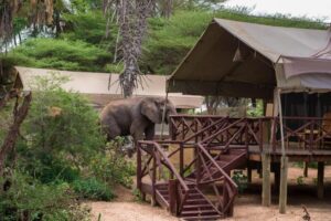 Tanzania safari lodges