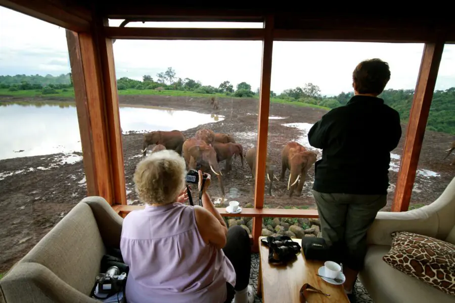Family safari with Annest Kenya safaris