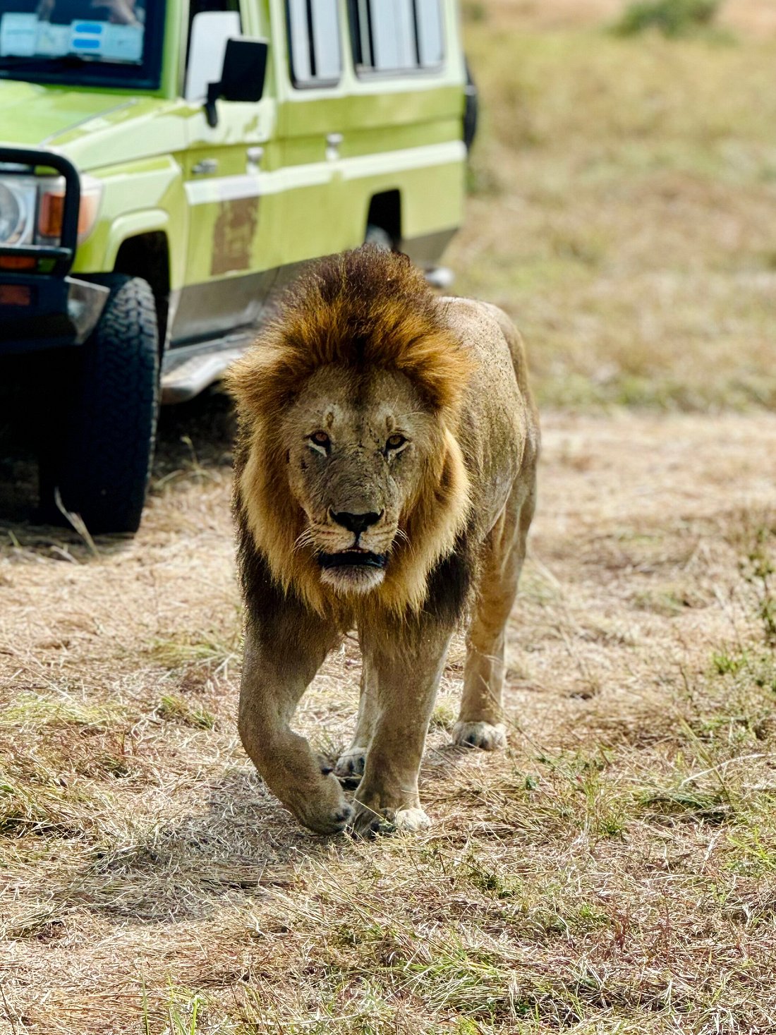 KENYA -Tanzania SAFARI