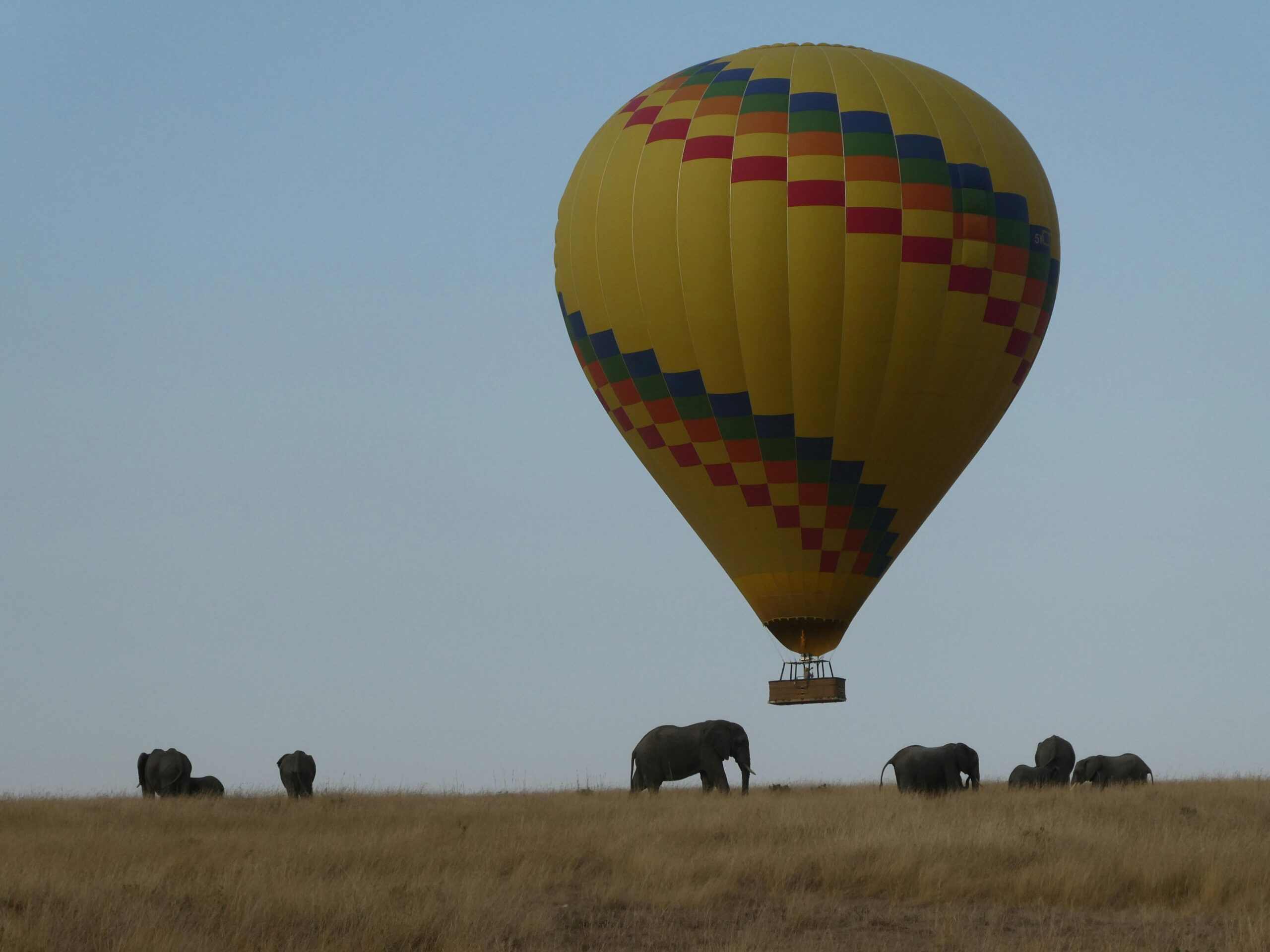 KENYA -Tanzania SAFARI