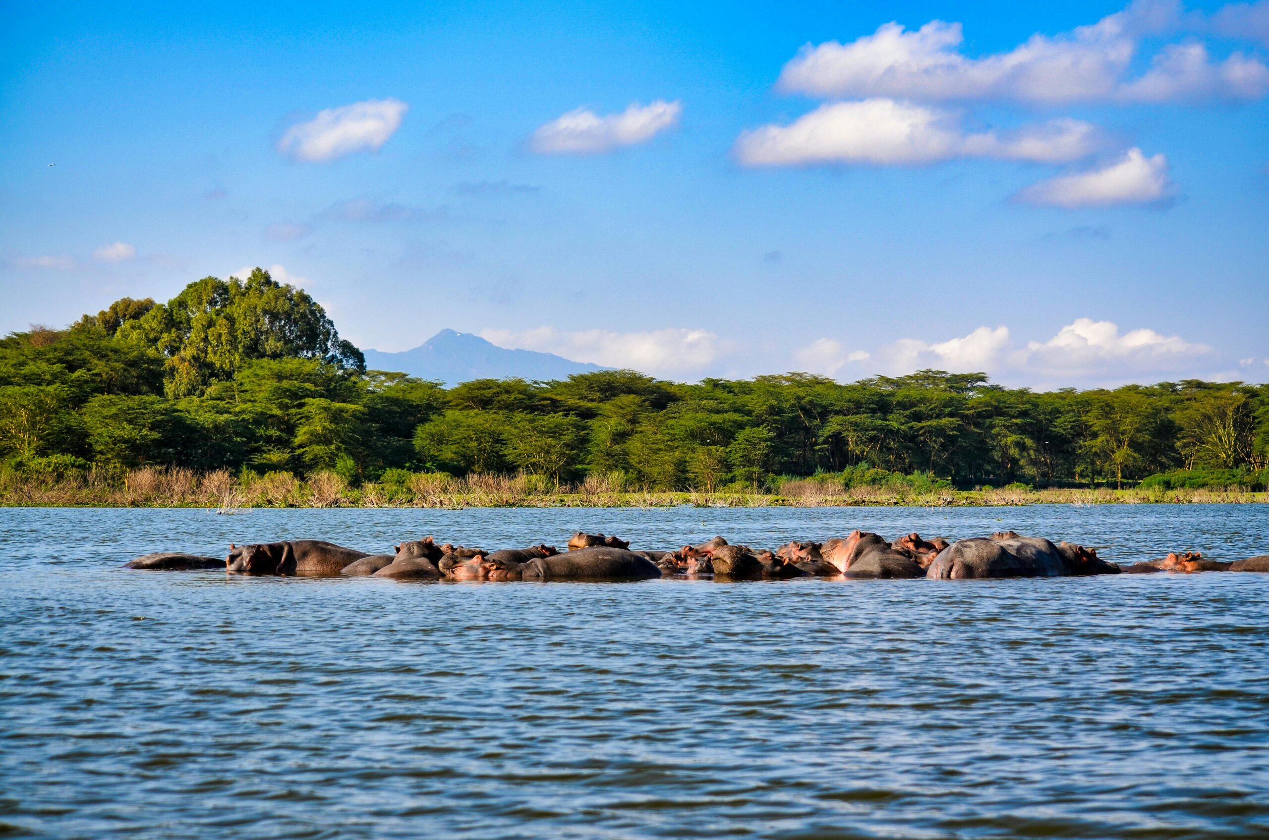Kenya-Tanzania safari tour