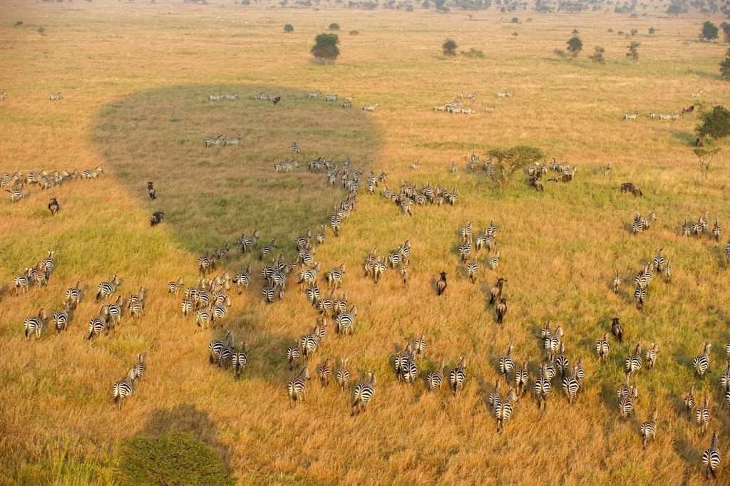 the great migration