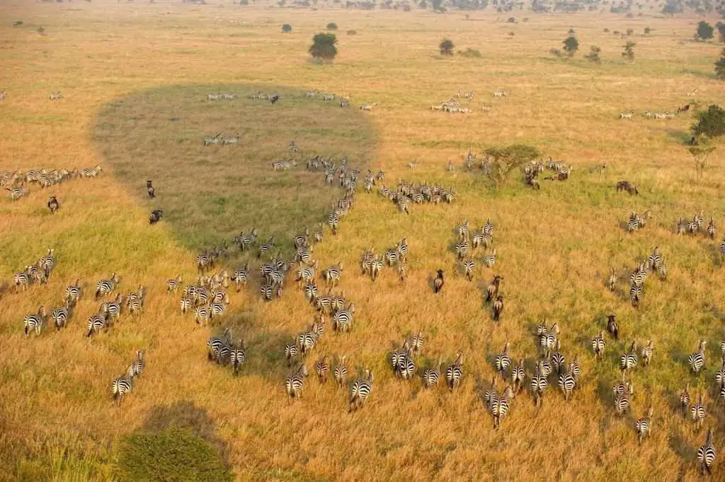the great migration