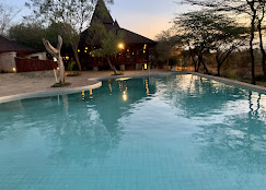 samburu simba lodge