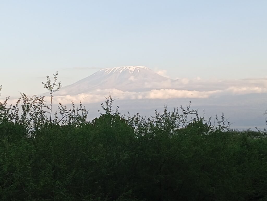 AMBOSELI NATIONAL PARK