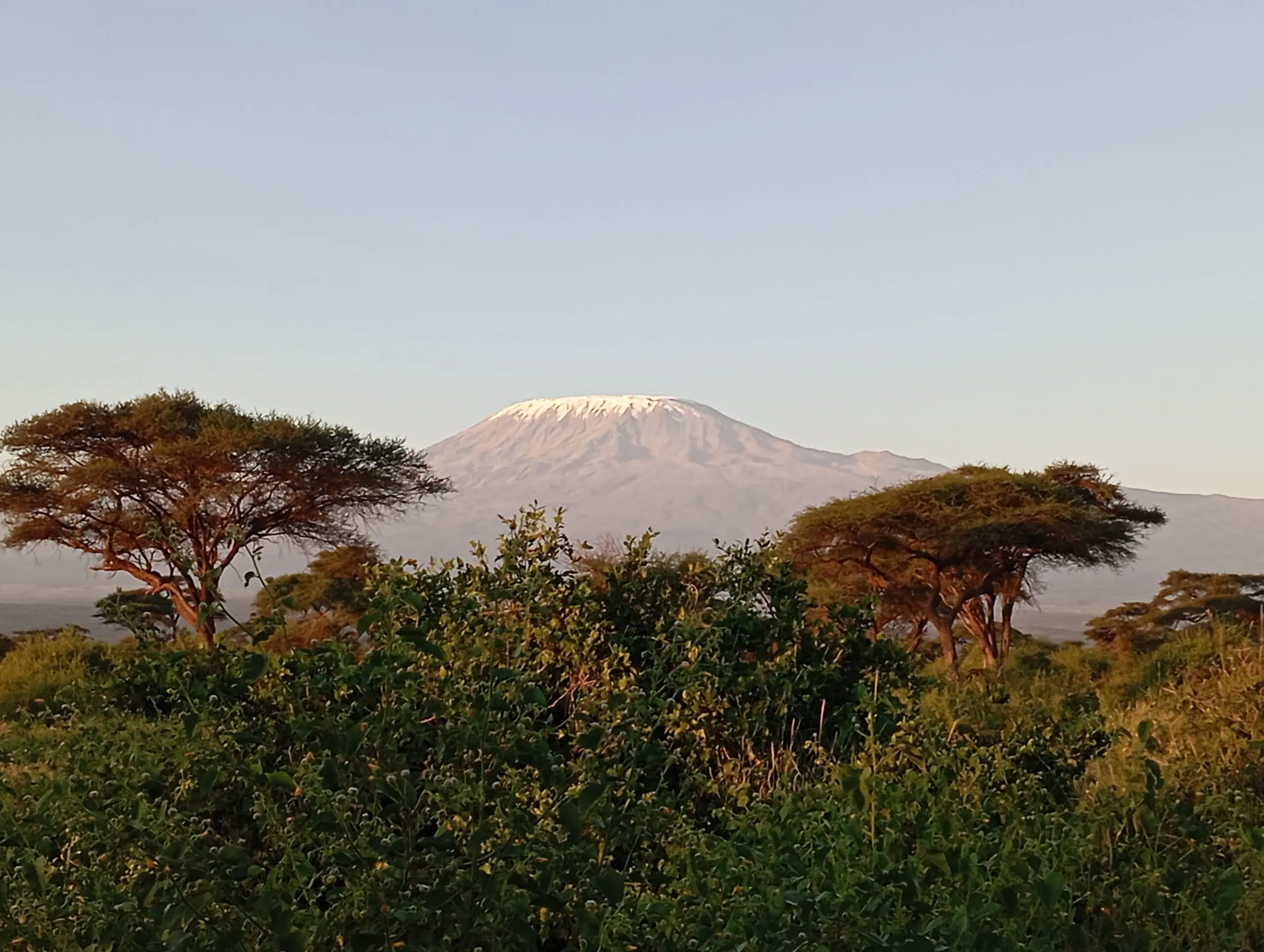 Amboseli national park