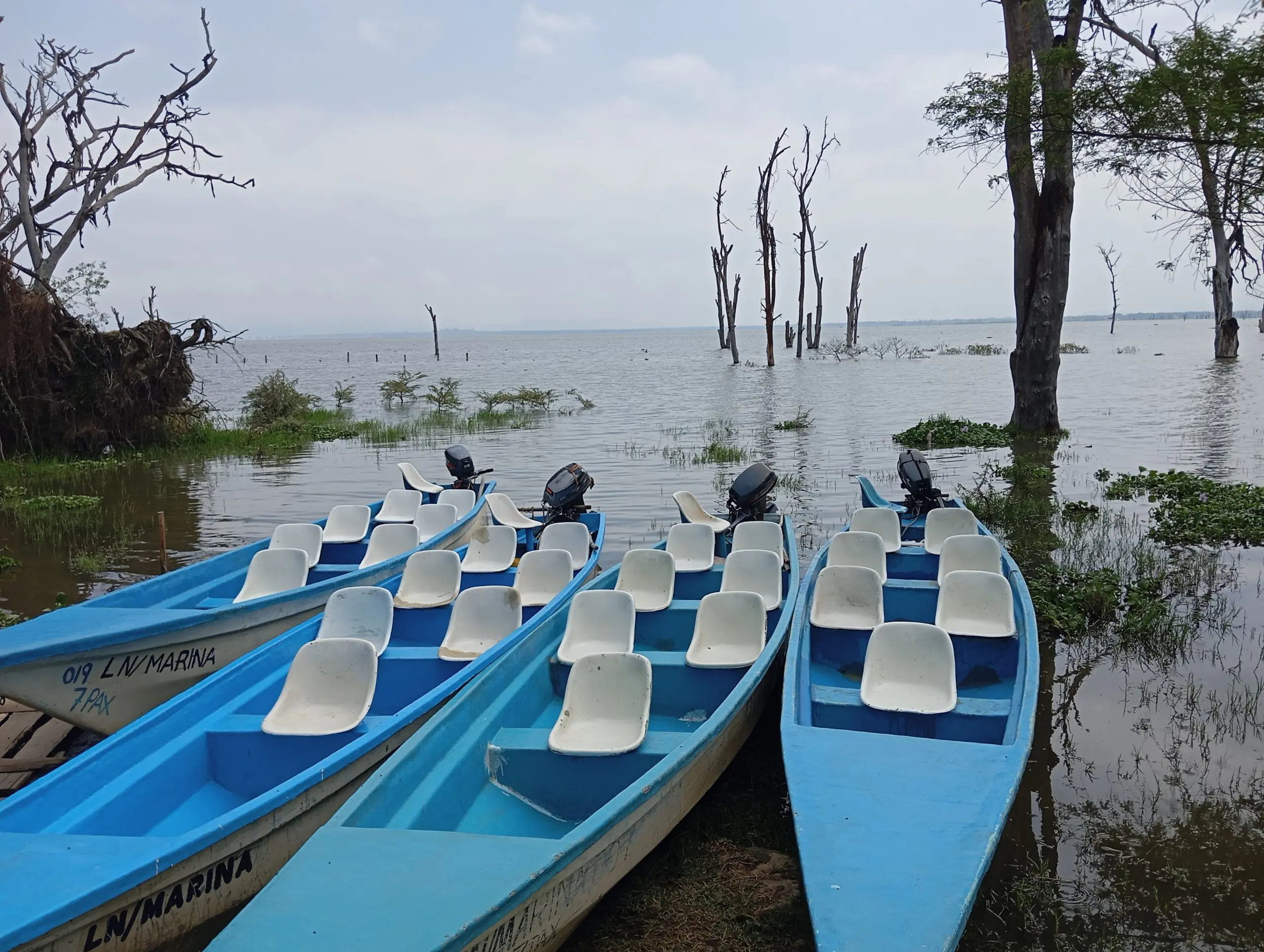 Lake naivasha boat ride