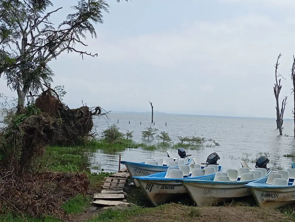 Lake Naivasha boat ride 