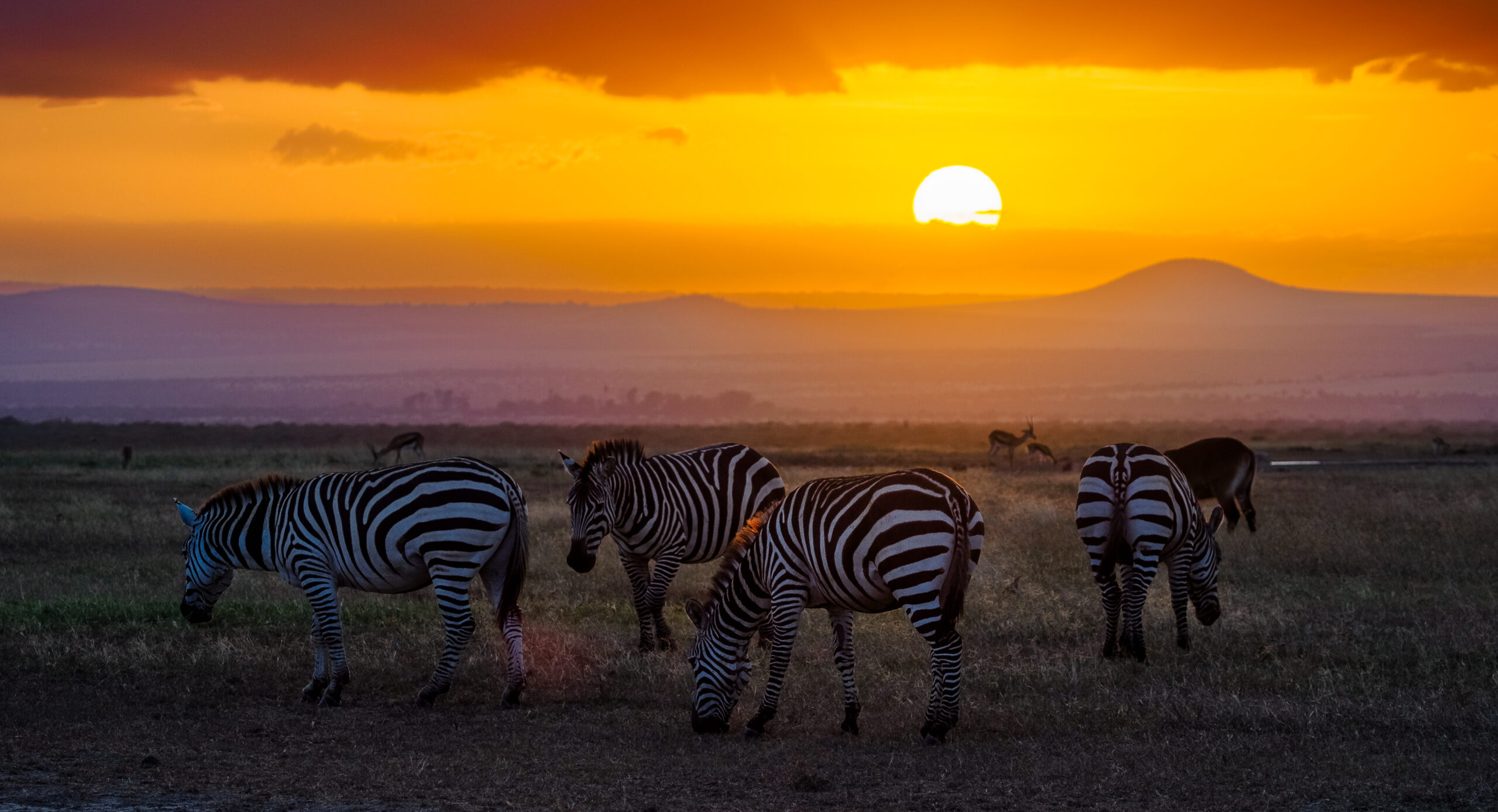 Annest Kenya safaris