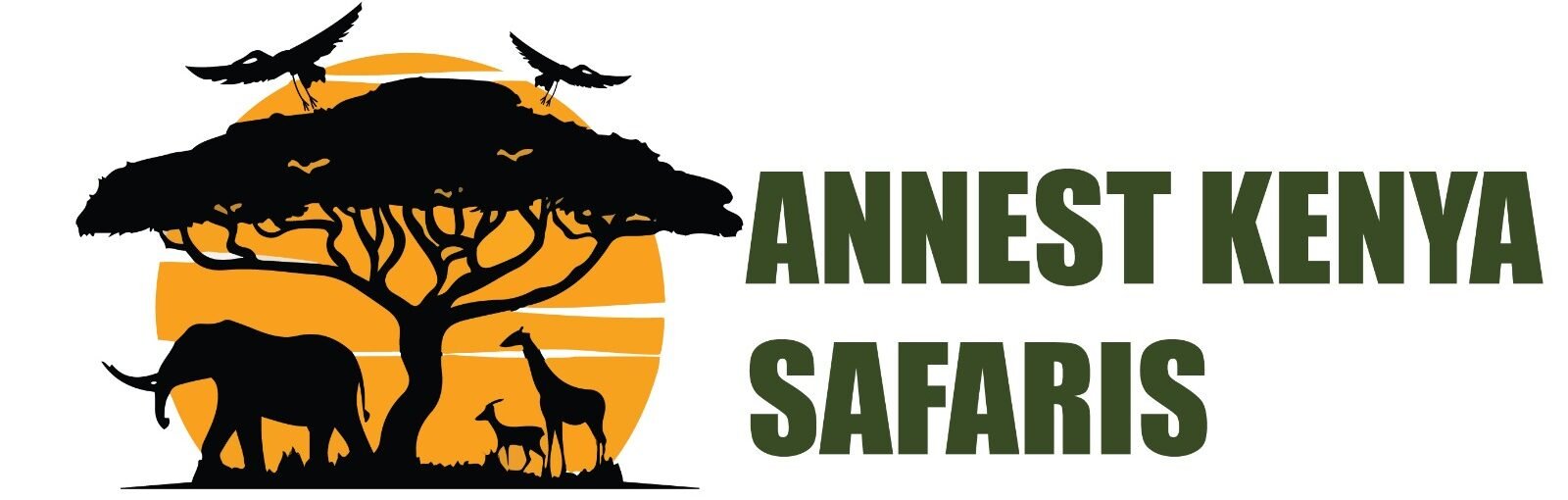 Annest Kenya safaris Logo