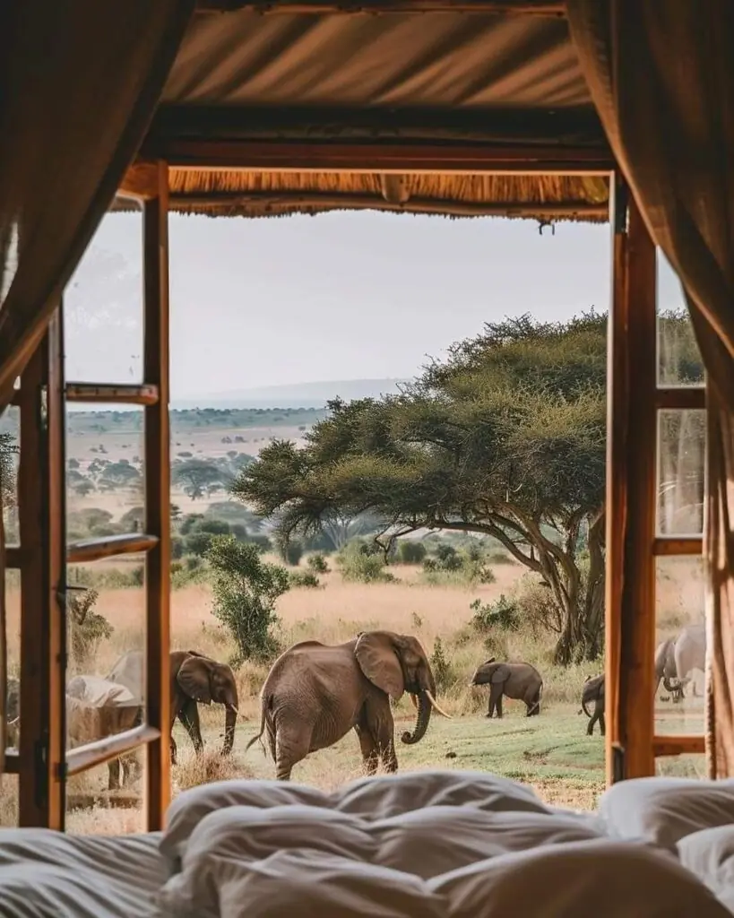 safari from Nairobi