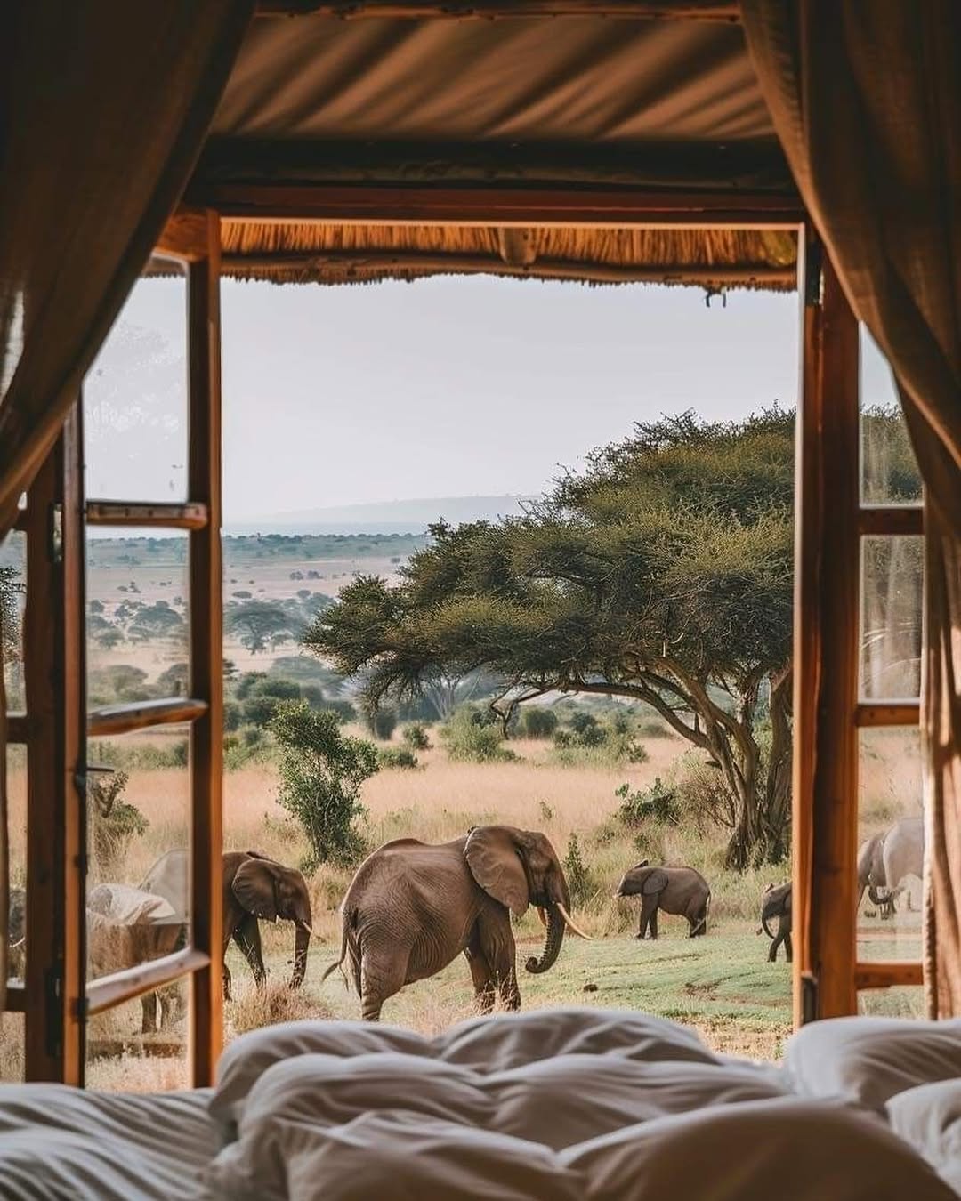 safari from Nairobi